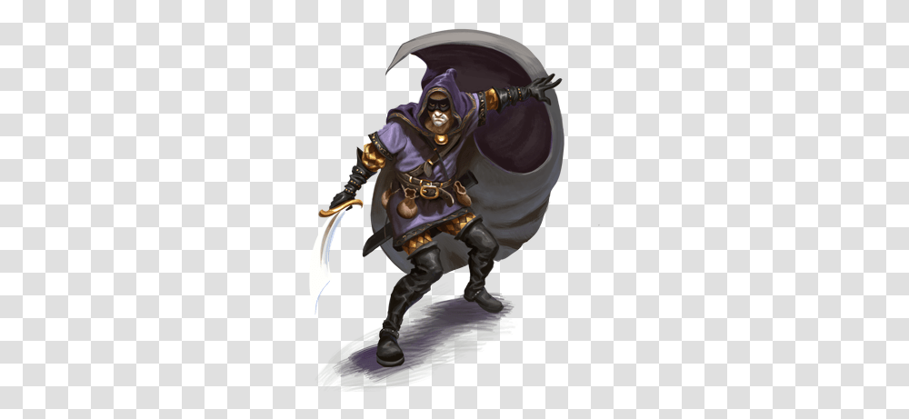 Truthiness W00t Dungeons And Dragons Rogue, Ninja, Person, Human, Clothing Transparent Png