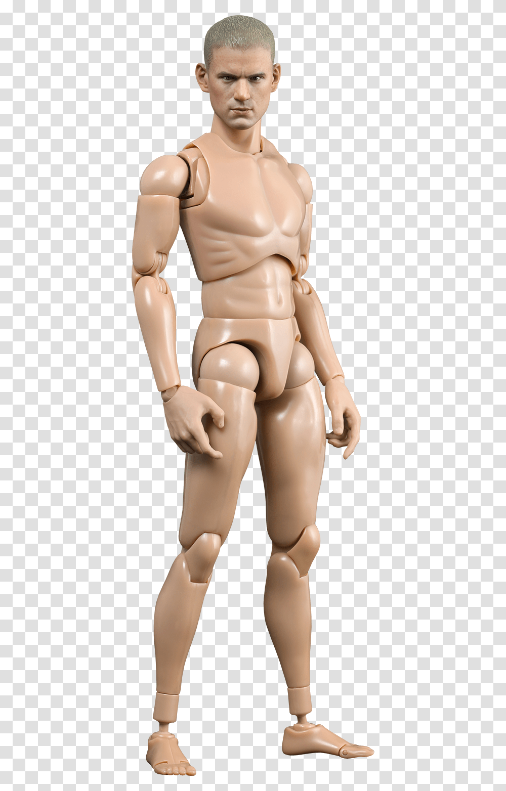 Ttm 18 1, Mannequin, Person, Human, Thigh Transparent Png
