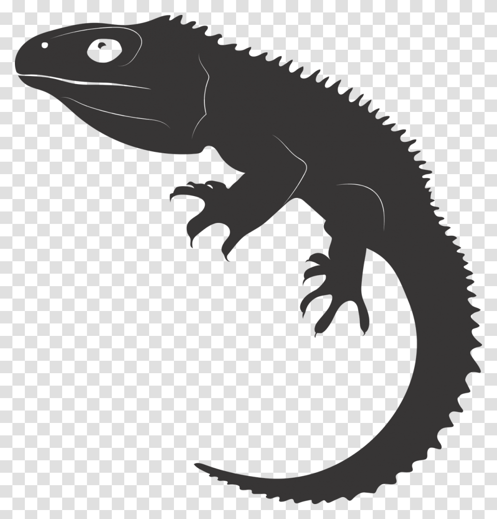 Tuatarareptileancient Reptileliving Fossilnew Zealand, Gecko, Lizard, Animal Transparent Png