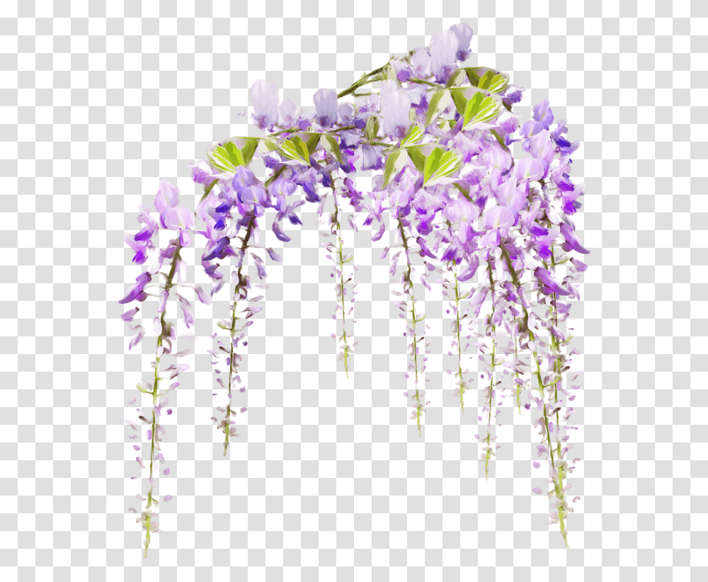 Tube Fleur, Plant, Flower, Blossom, Lilac Transparent Png