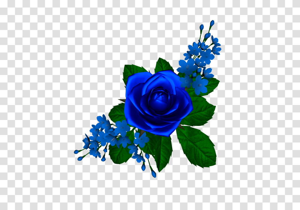 Tube Flores Rosa Azul Flowers Blue Roses And Rose, Plant, Blossom, Green, Leaf Transparent Png