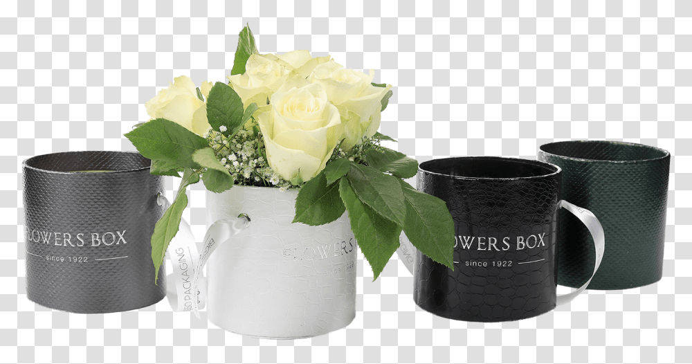 Tube Flower Box Garden Roses, Plant, Blossom, Flower Arrangement, Flower Bouquet Transparent Png