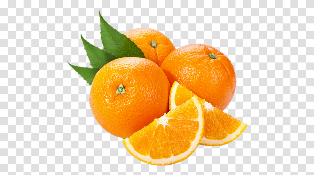 Tube Fruit Oranges Agrume Naranjas Citrus Agrumes, Citrus Fruit, Plant, Food, Lemon Transparent Png