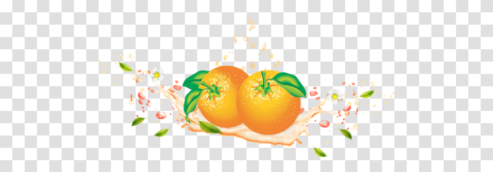 Tube Fruit Oranges Agrume Naranjas Citrus Clementine, Plant, Citrus Fruit, Food, Graphics Transparent Png