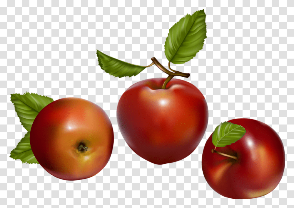 Tube Fruit Pommes Apples Manzanas Fruit Vector, Plant, Food, Cherry, Peach Transparent Png