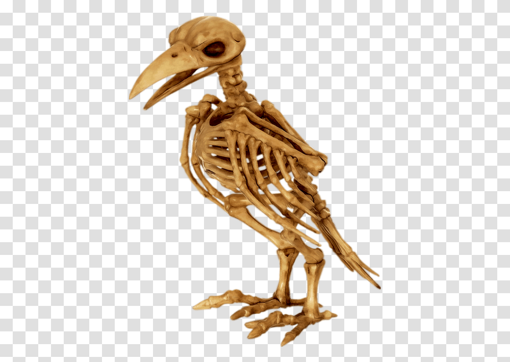 Tube Halloween Skeleton Of A Parrot, Bird, Animal, Dodo, Ivory Transparent Png