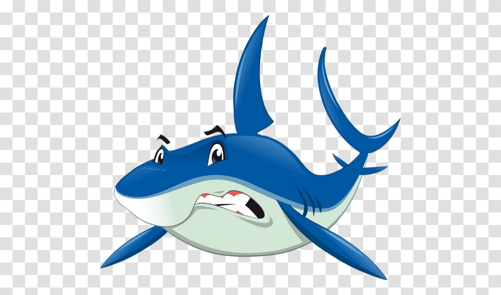 Tube Requin Dessin Dato Interesante Del Tiburn, Shark, Sea Life, Fish, Animal Transparent Png