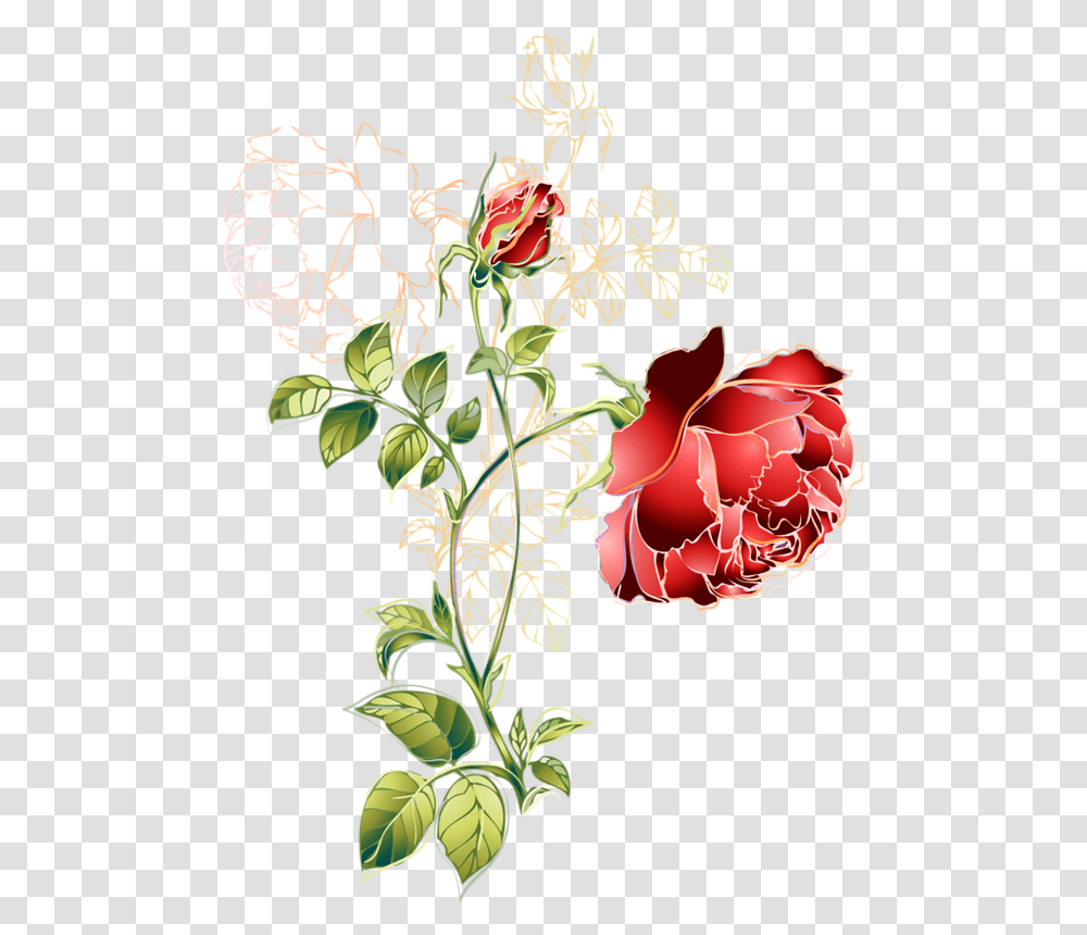Tube Rose Rouge Dessin Rose, Plant, Flower Transparent Png
