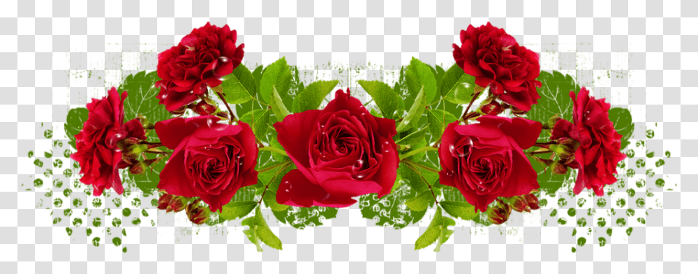 Tube Roses Rouges Floribunda, Flower, Plant, Blossom, Petal Transparent Png
