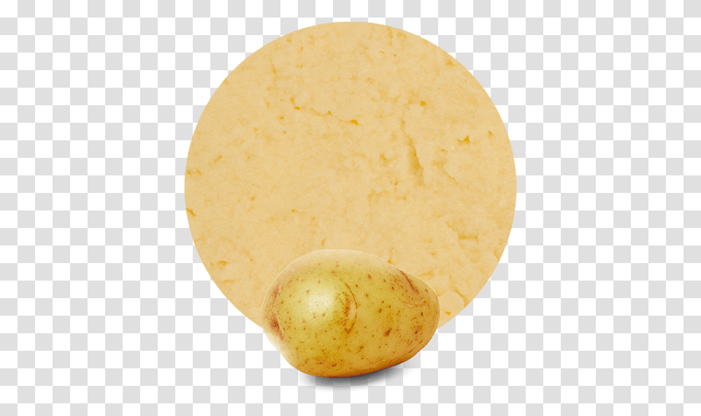 Tuber, Sweets, Food, Confectionery, Plant Transparent Png