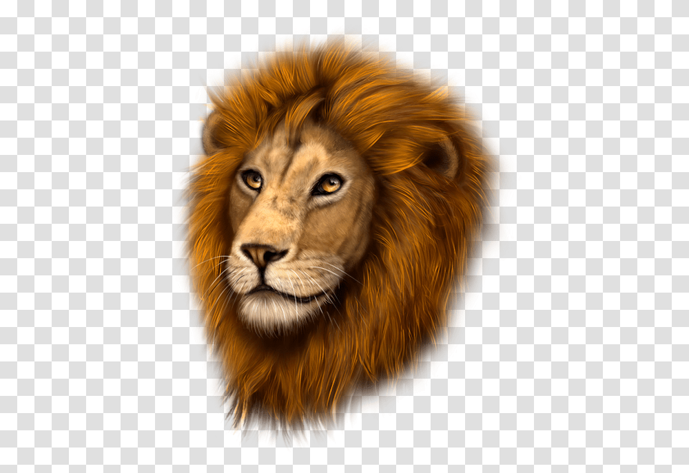 Tubes Animauxpsp Masai Lion, Dog, Pet, Canine, Animal Transparent Png