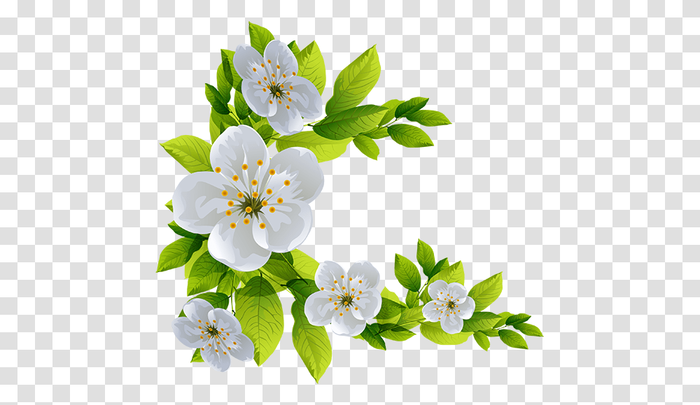 Tubes Arbres Arbustes Feuillages Flores Iii, Plant, Flower, Blossom Transparent Png