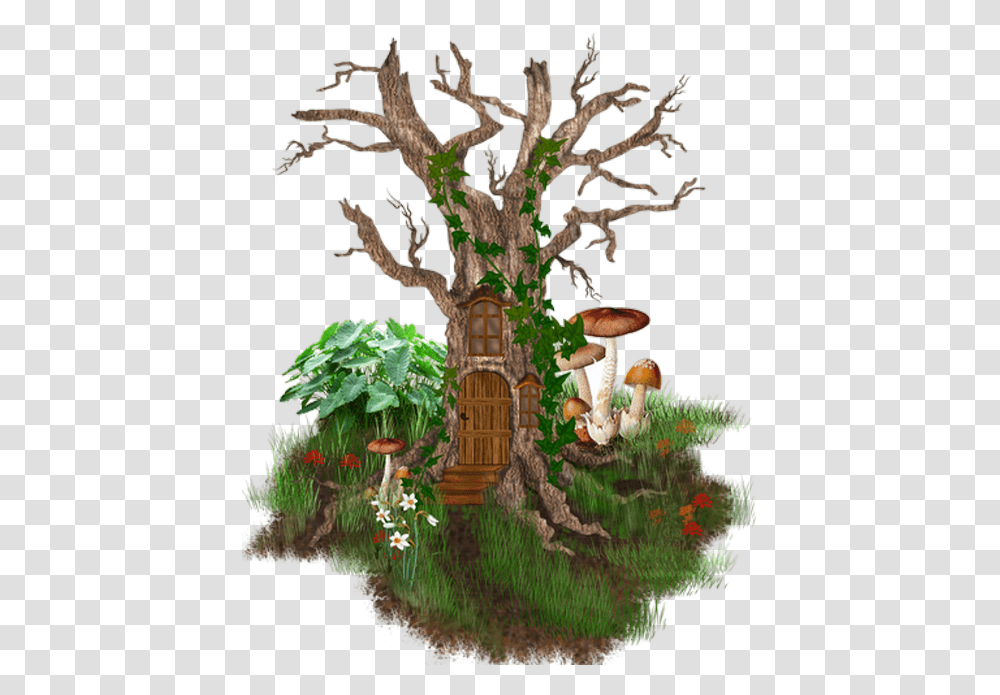 Tubes Arbrespsp Tree Stump, Plant, Agaric, Mushroom, Fungus Transparent Png