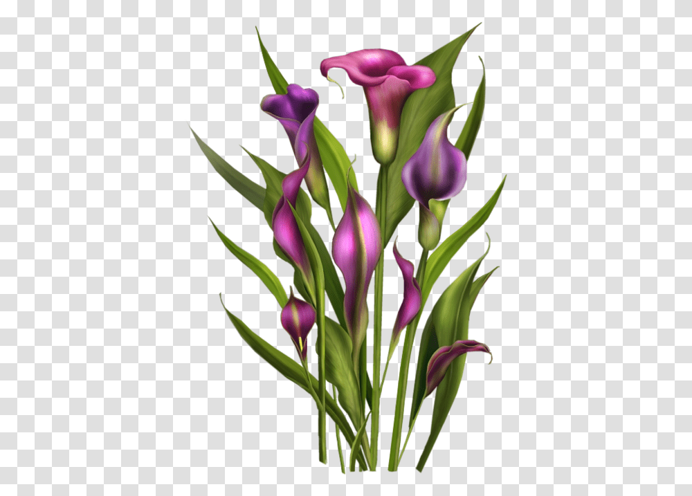 Tubes Fleurs Bouquets Spring Flowers Calla Lily Flower Bouquet Of Orange Lily Clipart, Plant, Blossom, Iris, Purple Transparent Png