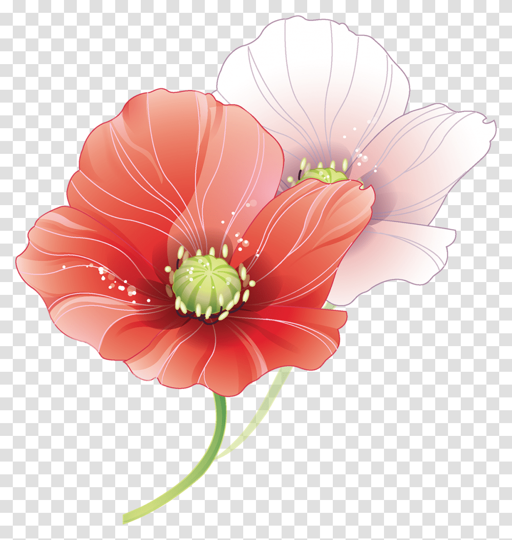 Tubes Fleurs Coquelicots Wedding Vector, Plant, Flower, Blossom, Anther Transparent Png
