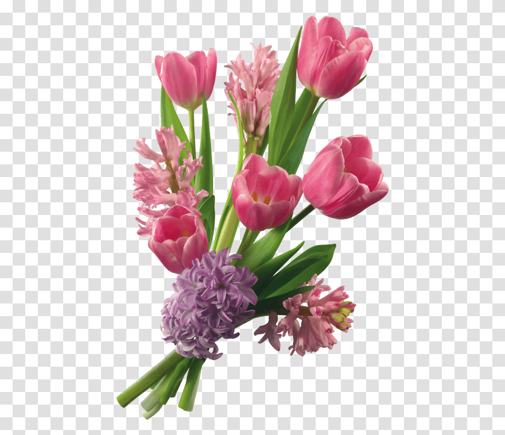 Tubes Flores Pgina 43 Background Shradhanjali Flower, Plant, Blossom, Flower Bouquet, Flower Arrangement Transparent Png