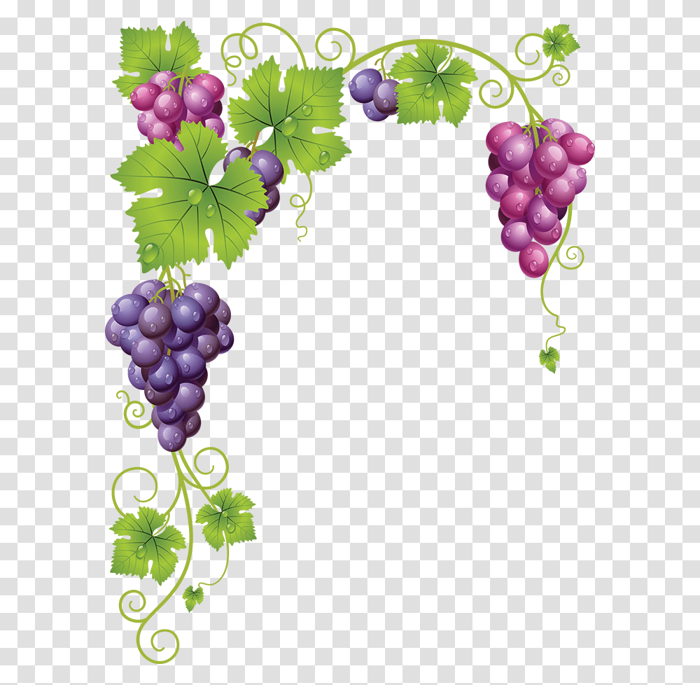 Tubes Fruits Kartinki Grape Vines Grape, Grapes, Plant, Food Transparent Png