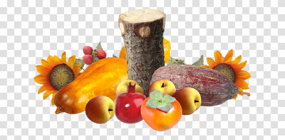 Tubes Fruitstubes Legumesclipartpng Fruitpspvector Mcintosh, Plant, Food, Peach, Produce Transparent Png