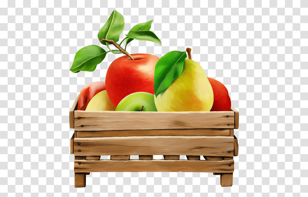 Tubes Fruitstubes Legumesclipartpng Fruitpspvector Tangelo, Plant, Food, Box, Apple Transparent Png
