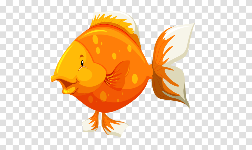 Tubes Poissons Images For My Projects Primary, Goldfish, Animal, Helmet Transparent Png