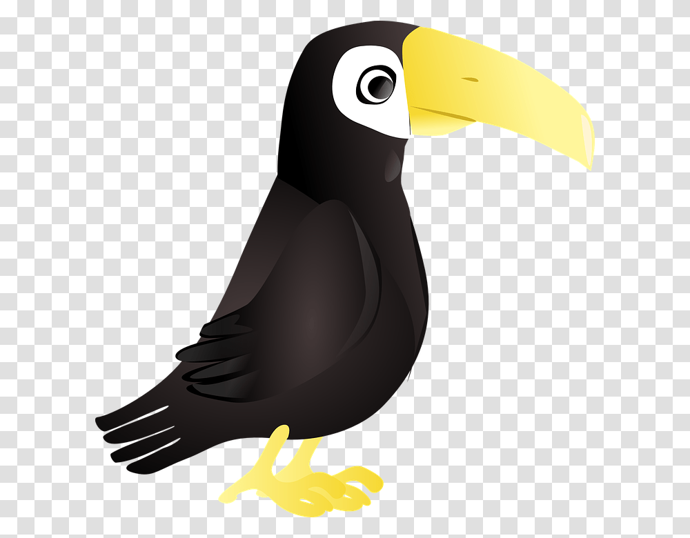 Tucan, Beak, Bird, Animal, Hammer Transparent Png