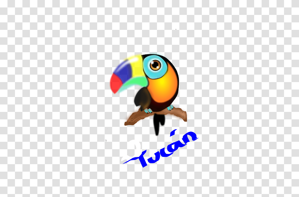 Tucan Colombiano Clip Arts For Web, Beak, Bird, Animal, Toucan Transparent Png
