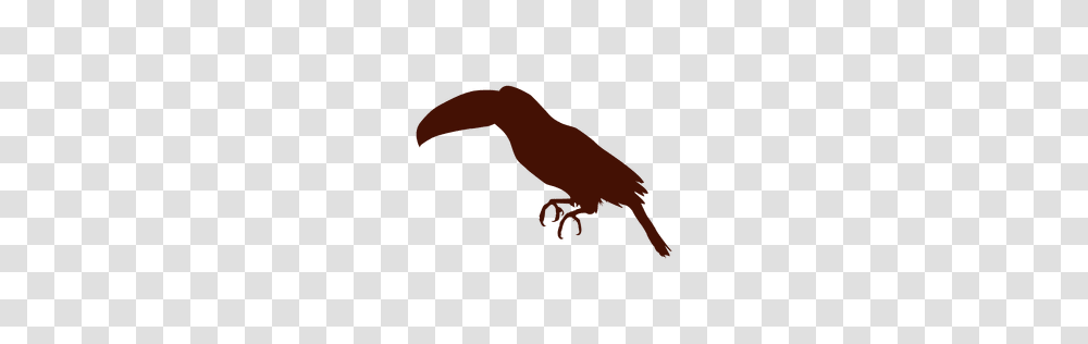 Tucan Or To Download, Animal, Bird, Reptile, Silhouette Transparent Png