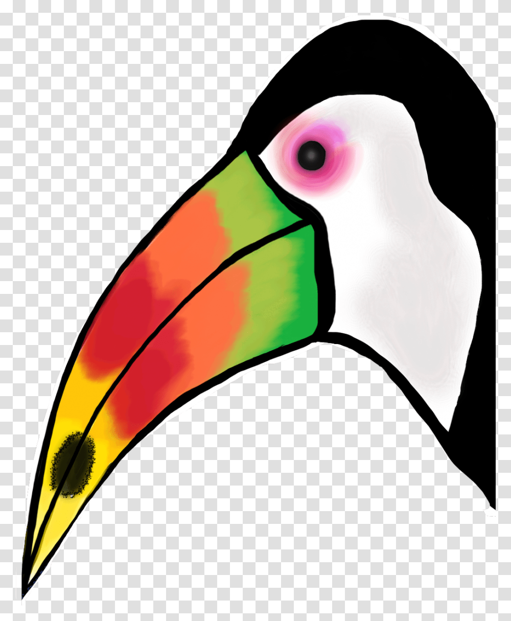 Tucan Toucan, Beak, Bird, Animal Transparent Png