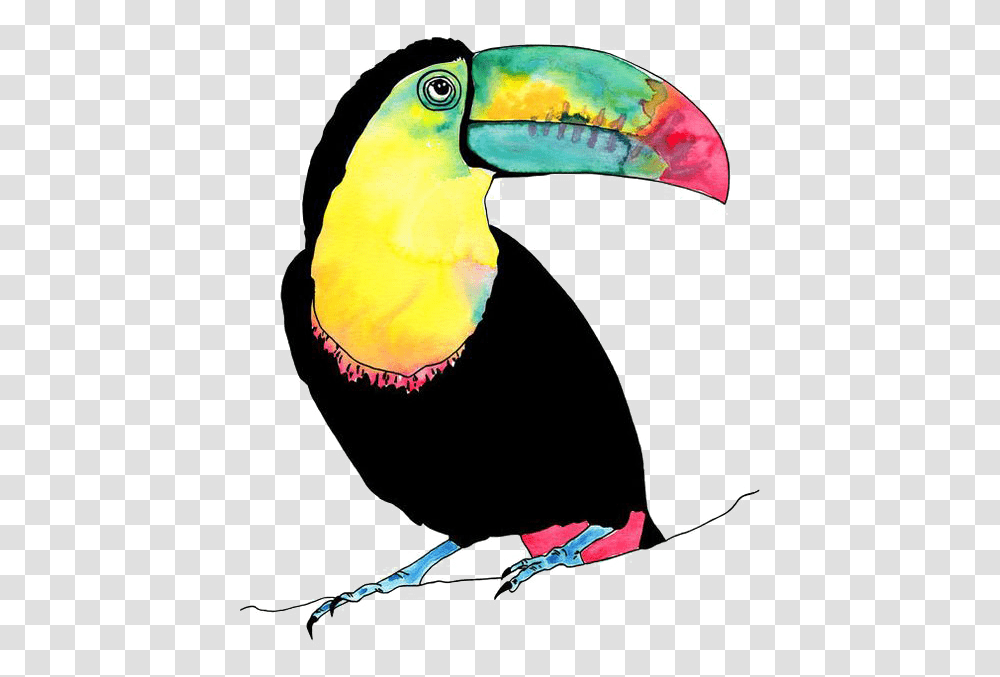 Tucan Tropical Birds Watercolour, Animal, Toucan, Beak Transparent Png