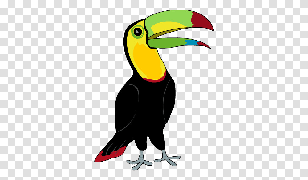 Tucan Tucan, Bird, Animal, Beak, Penguin Transparent Png