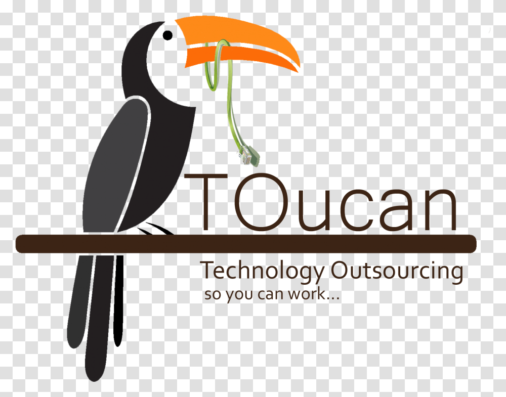 Tucan Vector Graphics, Beak, Bird, Animal Transparent Png