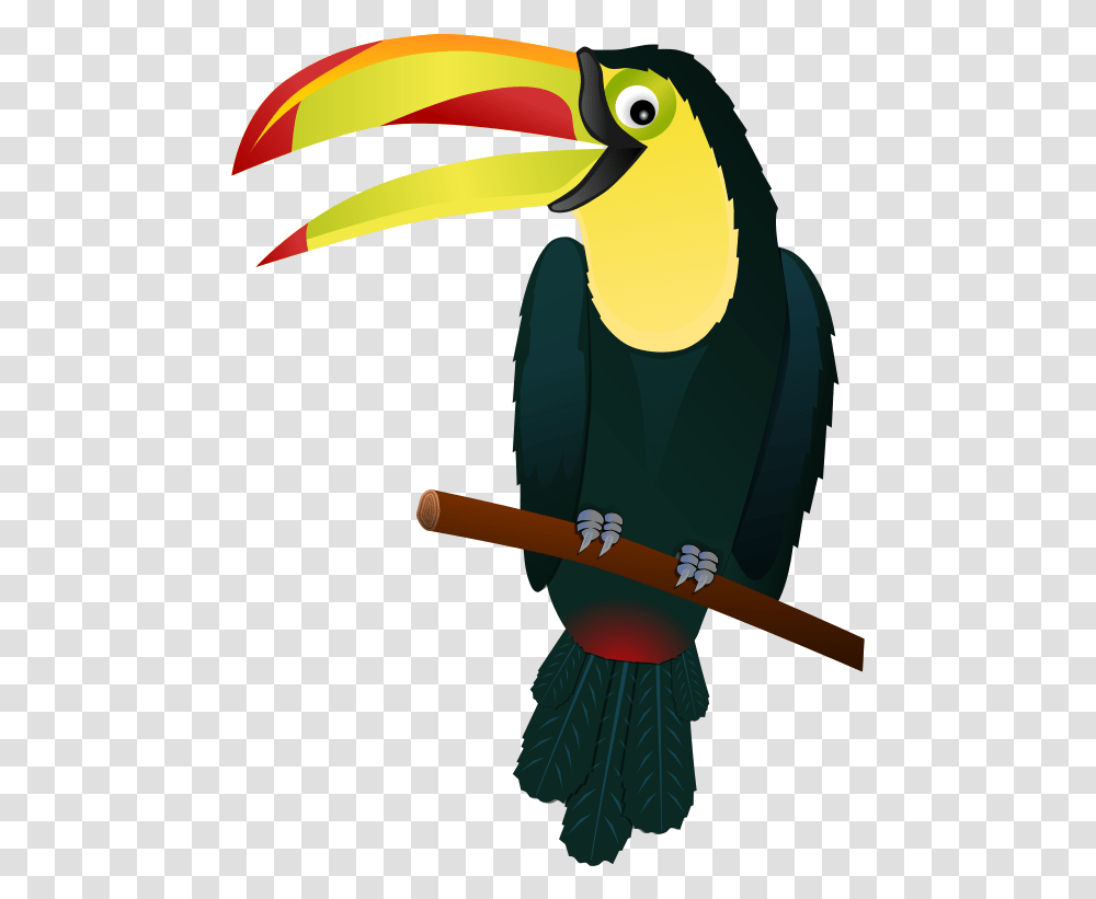 Tucano Pssaro Tropical Animal Toucan Clipart, Bird, Beak Transparent Png