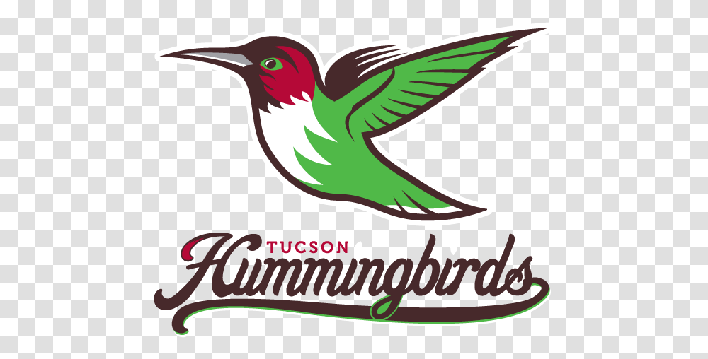 Tucson Hummingbirds Fantasy Baseball Hummingbirds Team Logo, Animal, Jay, Beak, Graphics Transparent Png