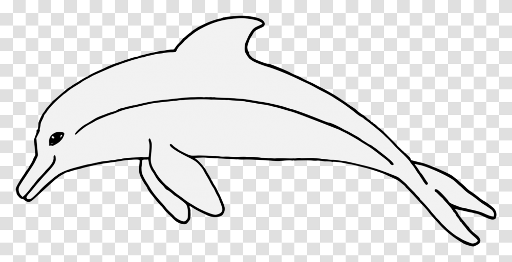 Tucuxi, Animal, Sea Life, Mammal, Dolphin Transparent Png