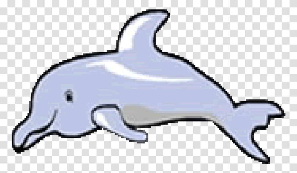 Tucuxi, Dolphin, Mammal, Sea Life, Animal Transparent Png