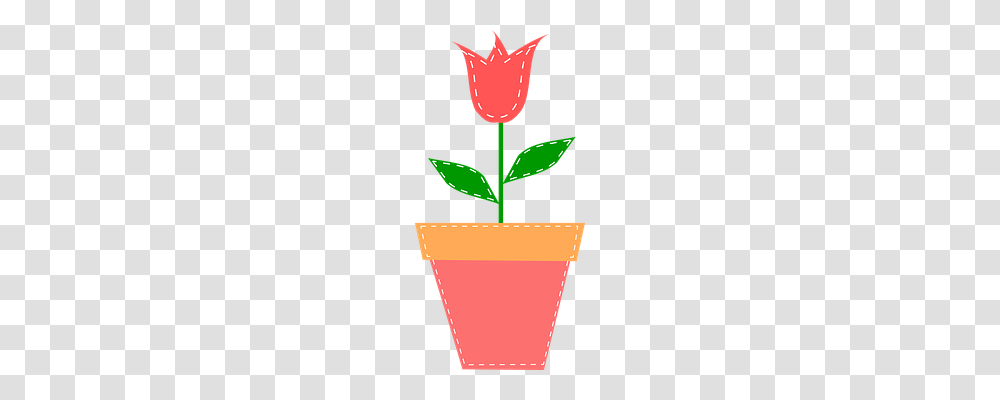 Tulip Nature, Plant, Potted Plant, Vase Transparent Png