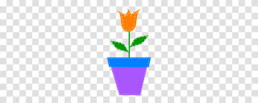Tulip Nature, Plant, Aloe, Flower Transparent Png