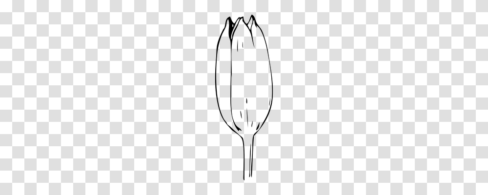 Tulip Technology, Gray, World Of Warcraft Transparent Png