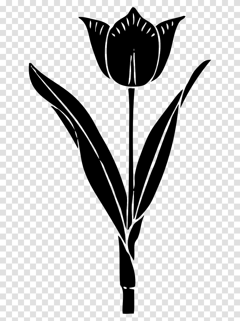 Tulip Black And White Flowers Clipart, Gray, World Of Warcraft Transparent Png