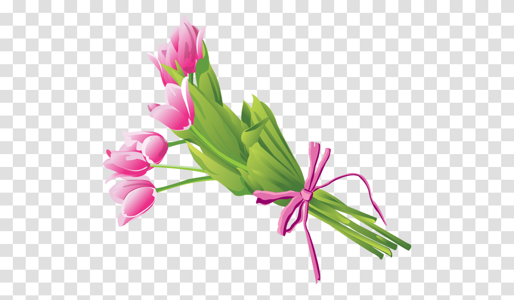 Tulip Bouquet Clip Art Free Image, Gift, Floral Design, Pattern Transparent Png