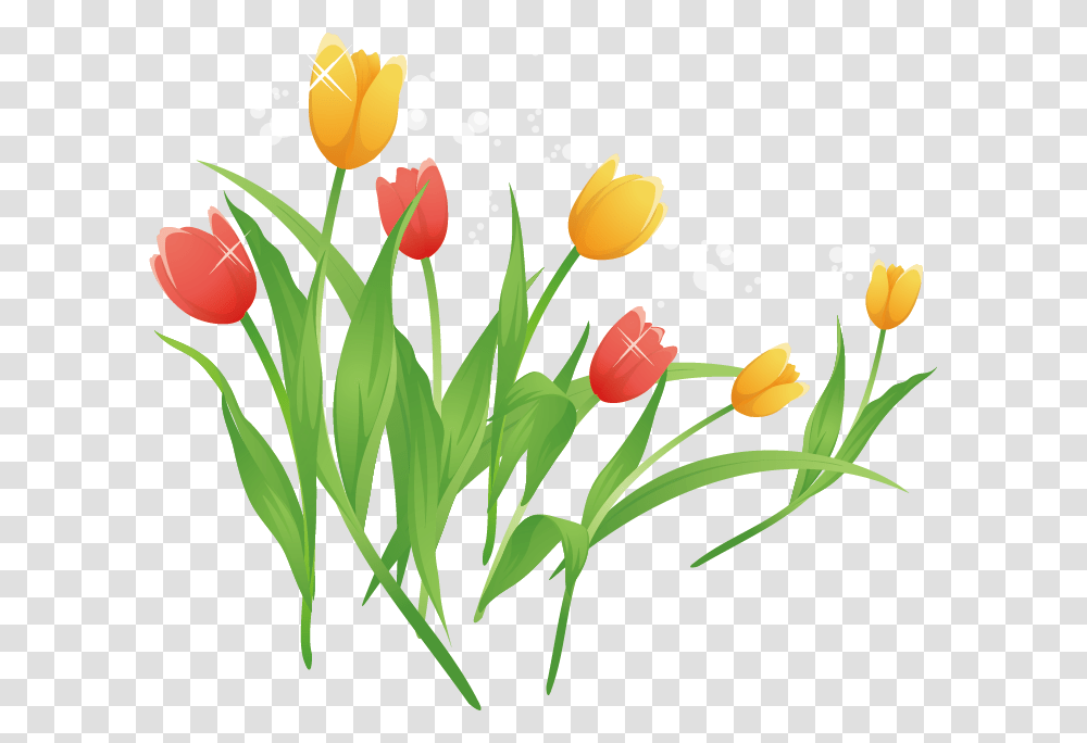 Tulip Cartoon Clip Art Tulip Cartoon, Plant, Flower, Blossom Transparent Png