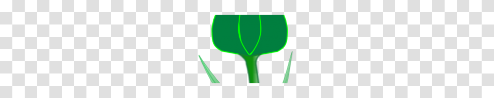Tulip Clip Art Large Tulip Clipart Clipart Free Clipart Download, Green, Plant, Balloon, Leaf Transparent Png