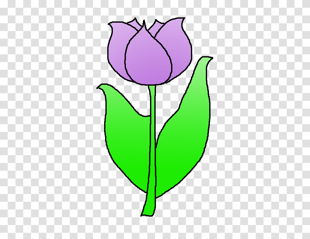 Tulip Clip Art, Plant, Flower, Blossom, Leaf Transparent Png