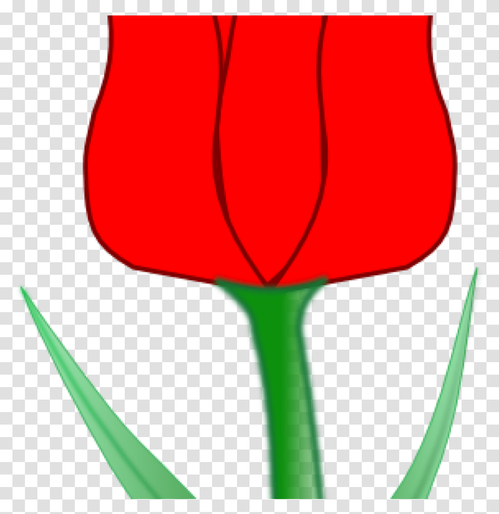 Tulip Clip Art Tulip Clip Art At Clker Vector Clip, Lamp, Plant, Flower, Blossom Transparent Png