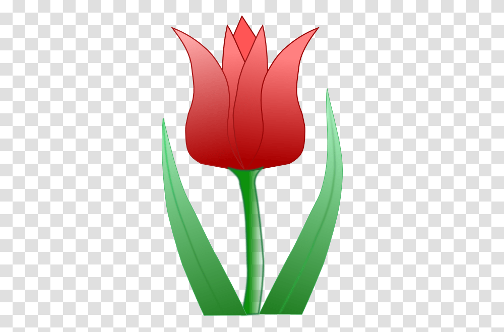 Tulip Clip Arts For Web Clip Arts Free Backgrounds Tulips Flower Clip Art, Plant, Blossom, Petal Transparent Png