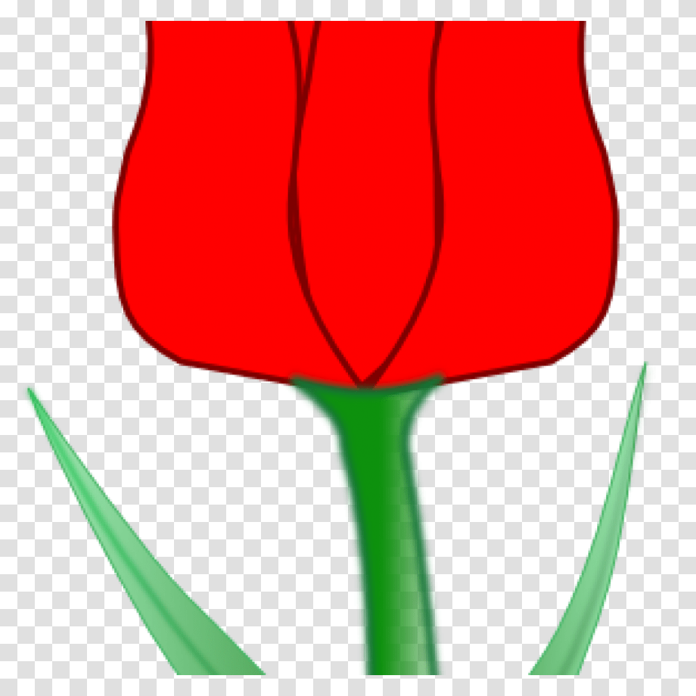 Tulip Clipart Clip Art, Lamp, Plant, Flower, Blossom Transparent Png