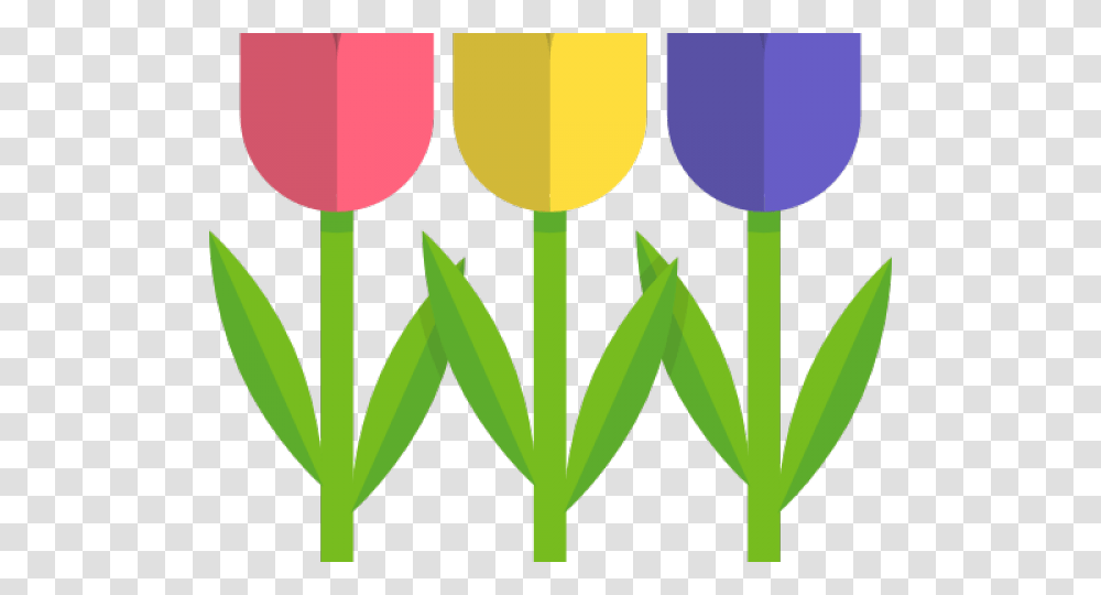 Tulip Clipart, Flower, Plant, Blossom, Glass Transparent Png