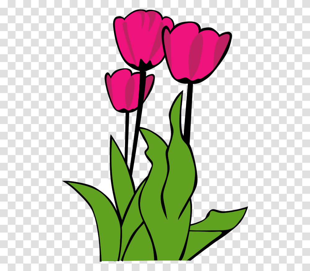 Tulip Clipart Kid Tulip Clip Art, Plant, Flower, Blossom, Leaf Transparent Png