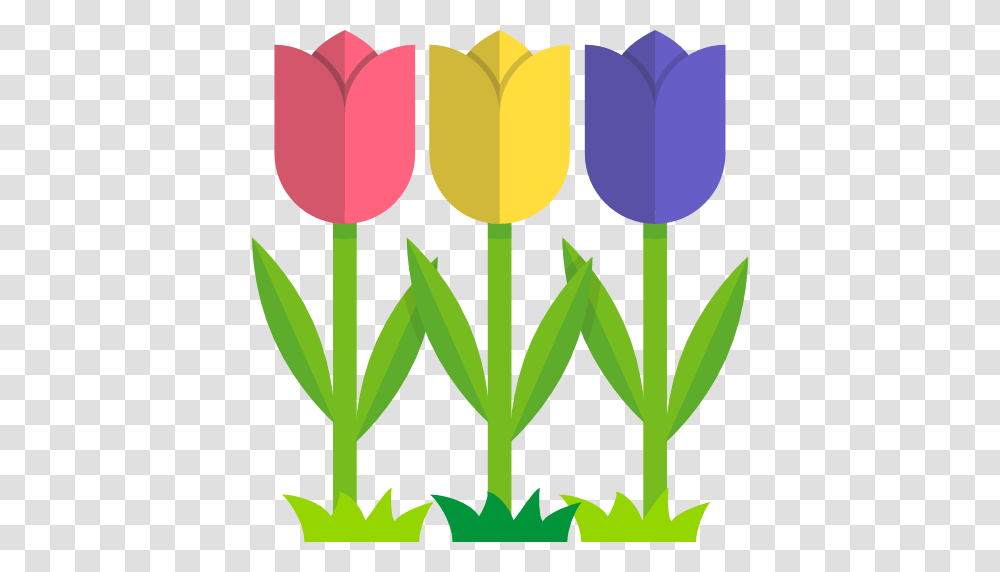 Tulip Clipart Nature, Plant, Flower, Blossom Transparent Png