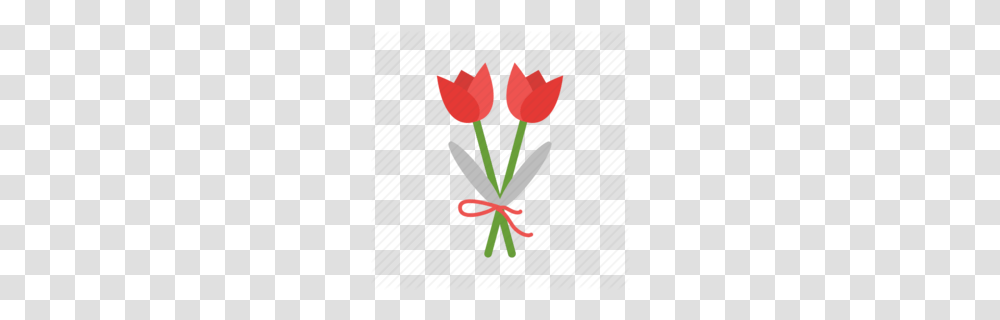 Tulip Clipart, Plant, Flower, Blossom, Flower Bouquet Transparent Png